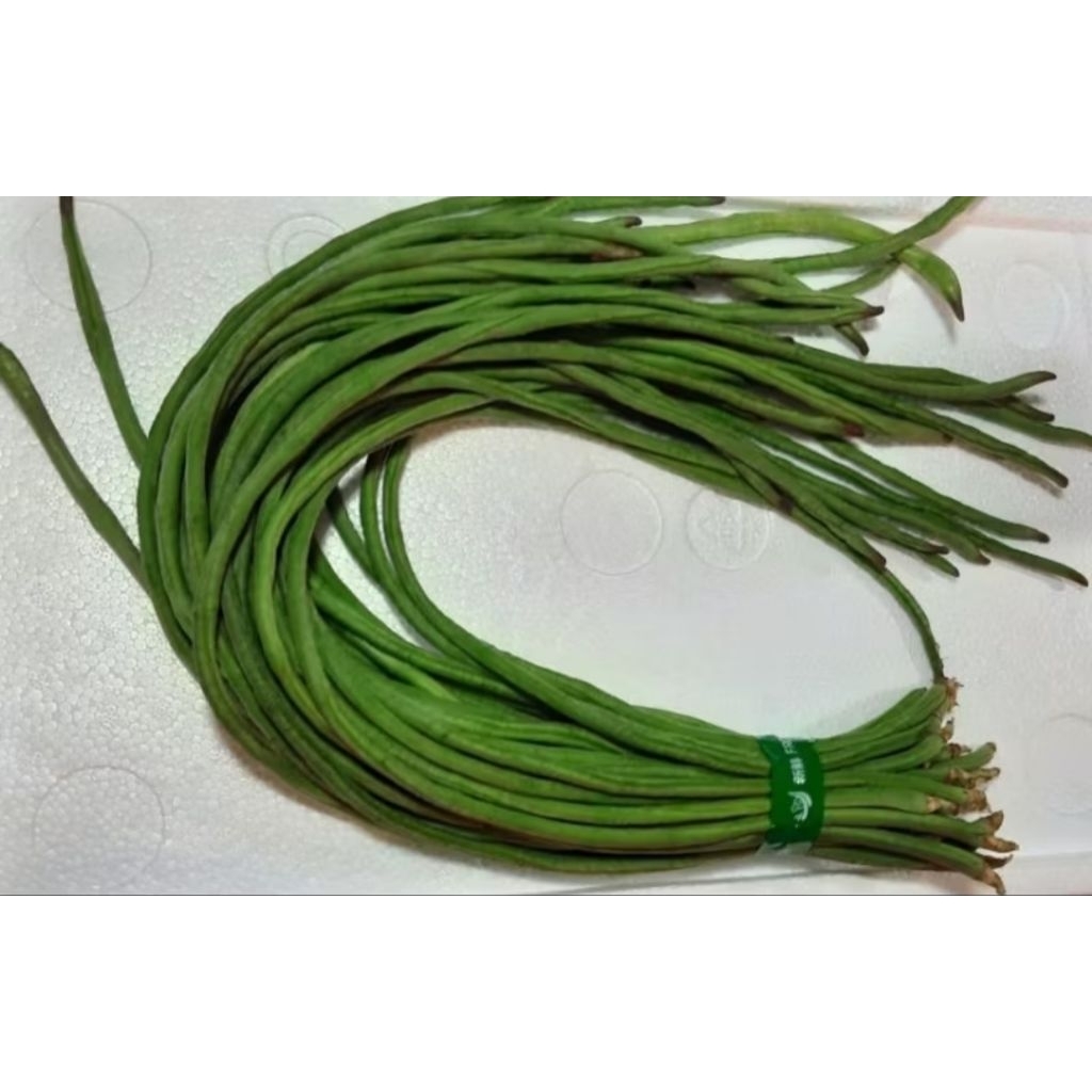 

kacang panjang / sayur kacang