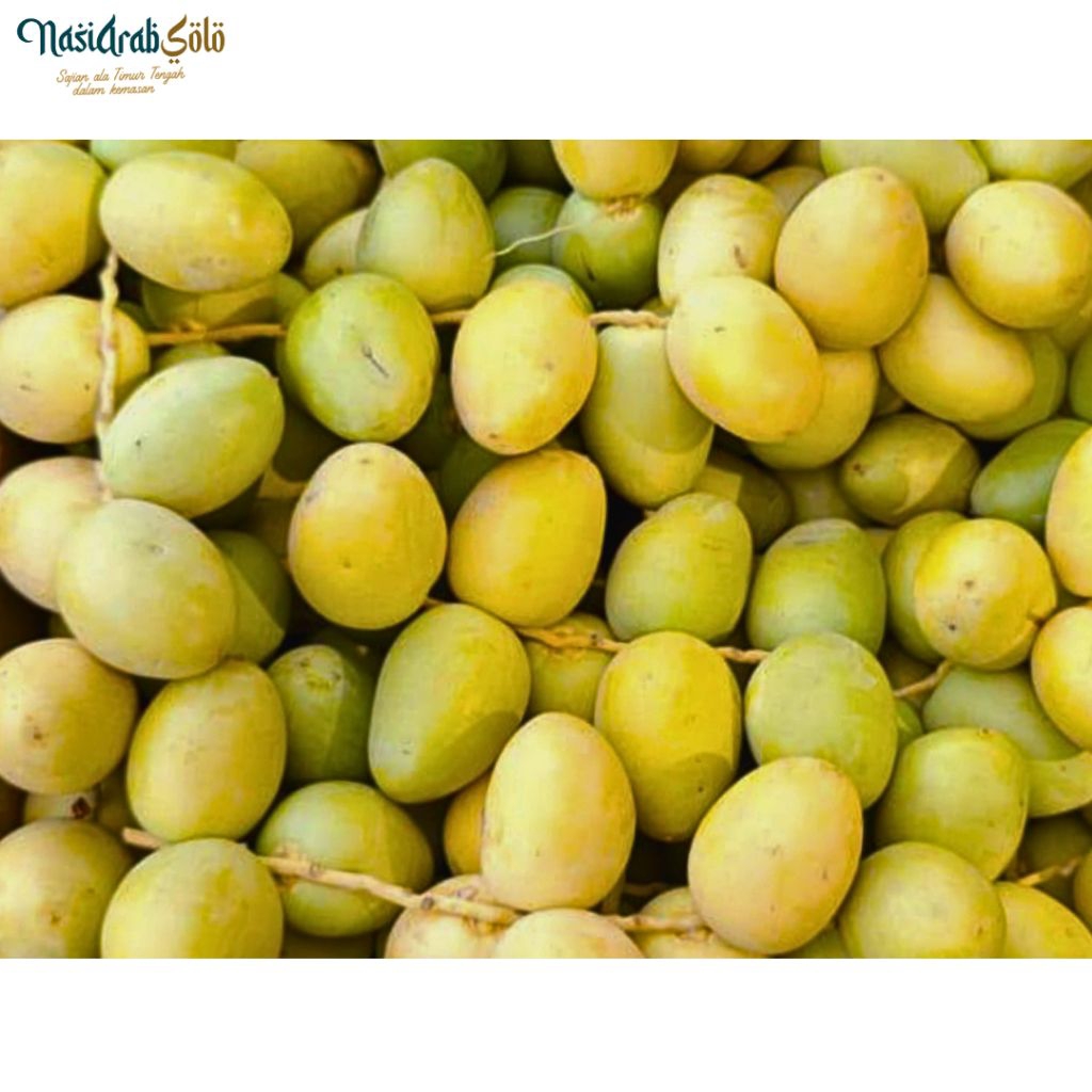 

Kurma Bahri | Kurma Muda | Kurma Promil