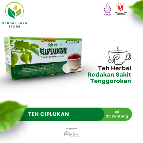 

Teh Herbal Ciplukan Griya Herba untuk Meredakan Sakit Tenggorokan Halal / Herbal Ciplukan