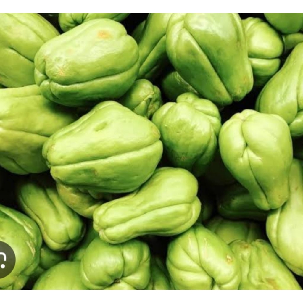 

labu siam segar 1kg frseh