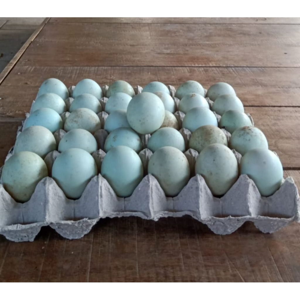 

Telur bebek mentah grade BK (sedang)