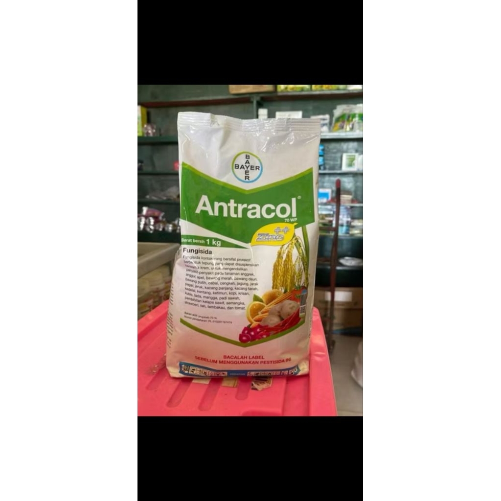 FUNGISIDA ANTRACOL 1KG