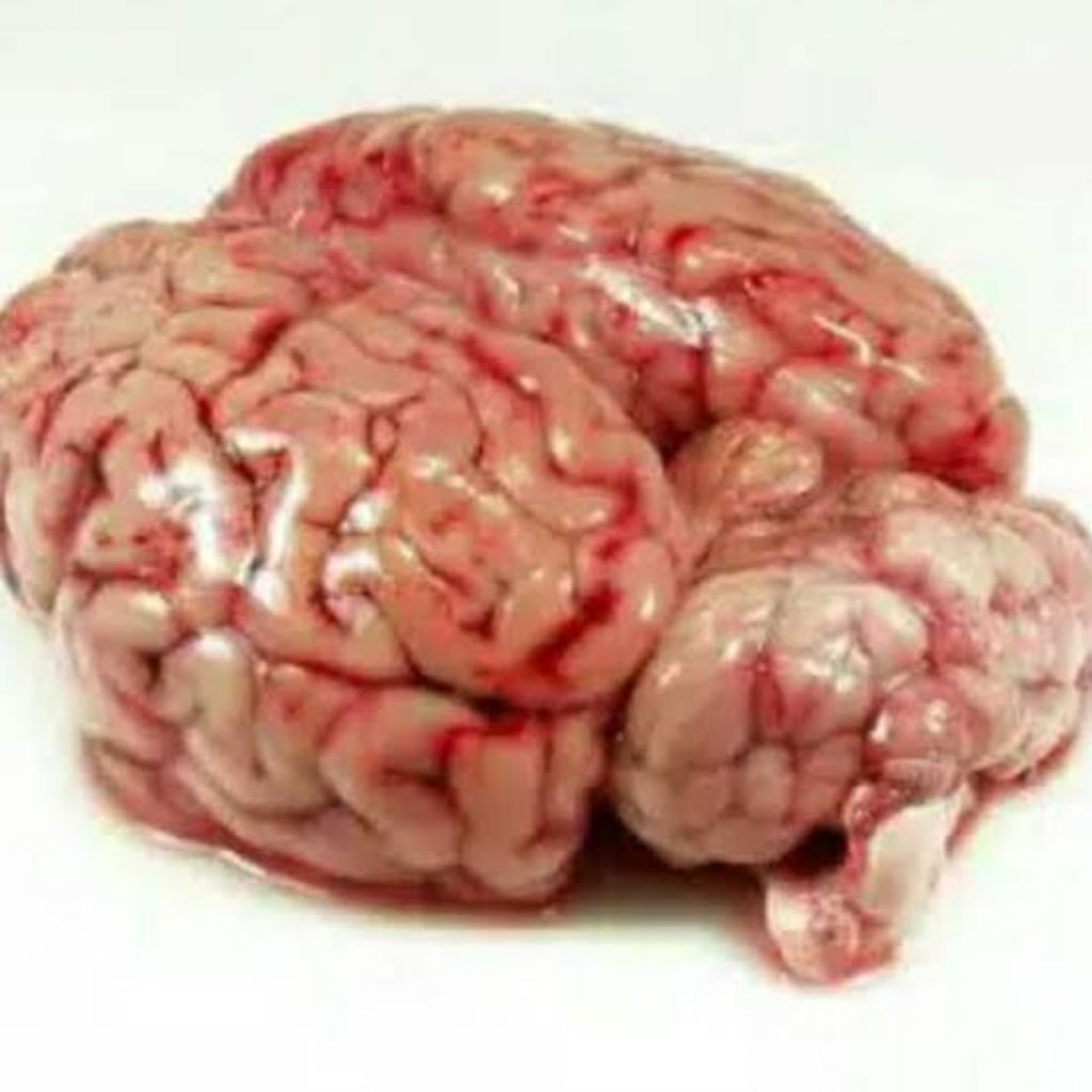 

Otak Sapi Lokal Frozen