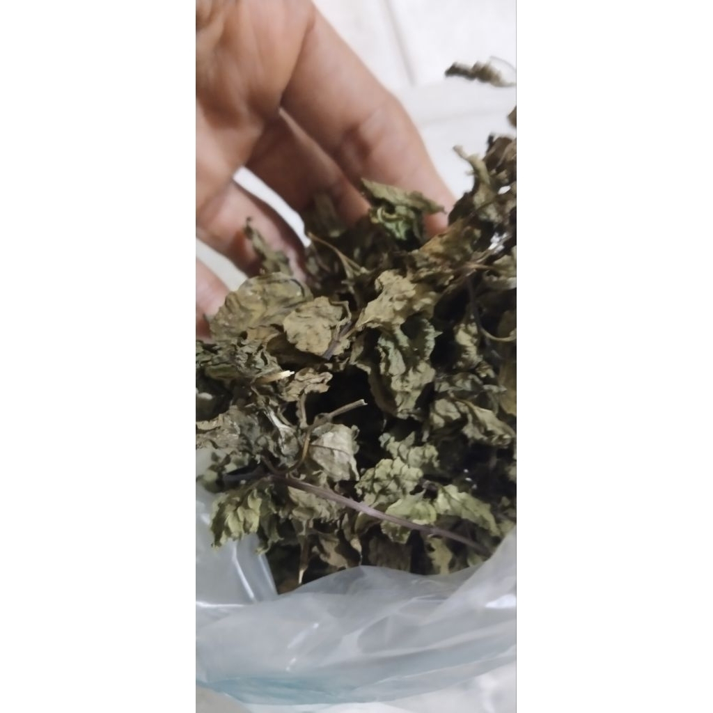 

Mix daun mint kering 50g ( menthol mint, super mint, sweet mint, Red Mint) asli