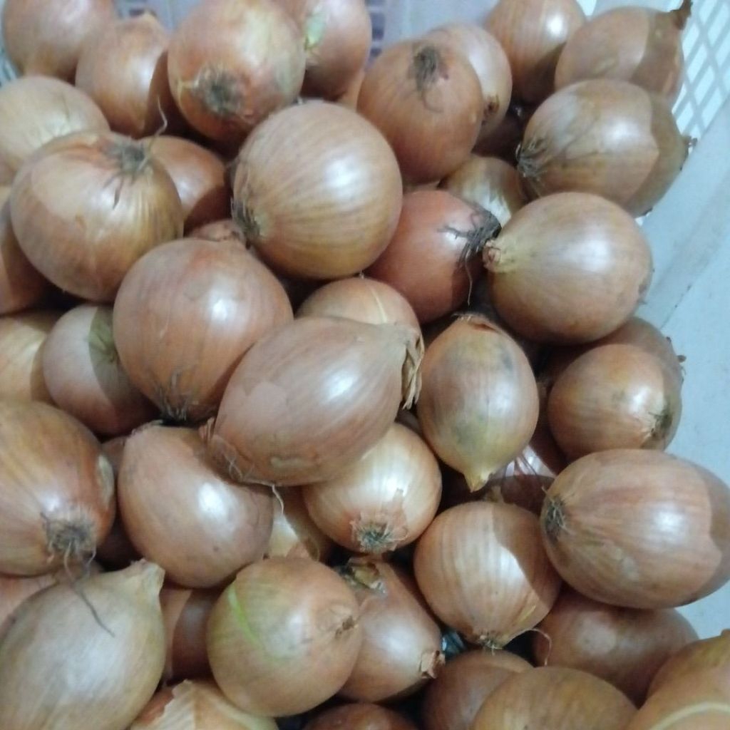 

bawang bombay 38.000 perkg