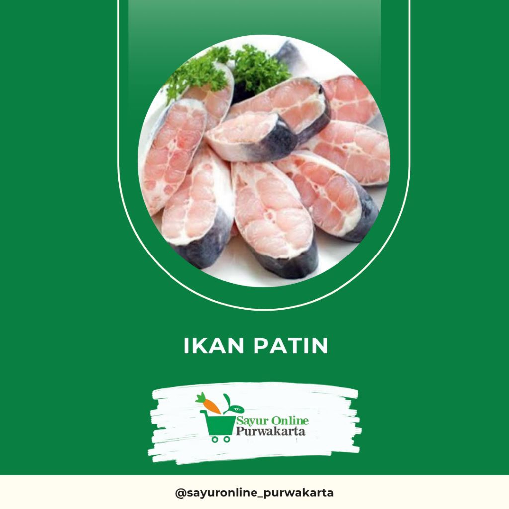 

Ikan Patin - Sayur Online Purwakarta