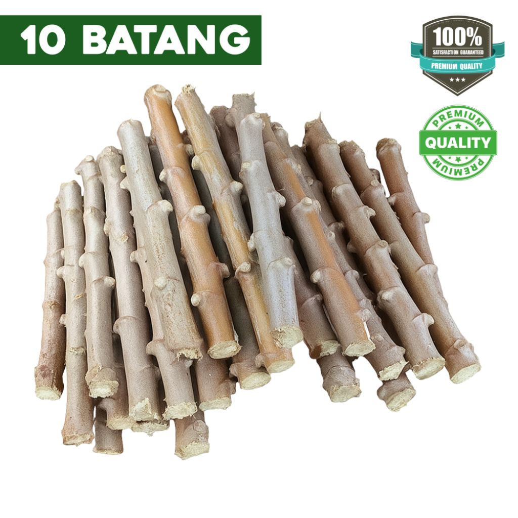 

Batang Singkong 1 Ikat isi 20 Pcs