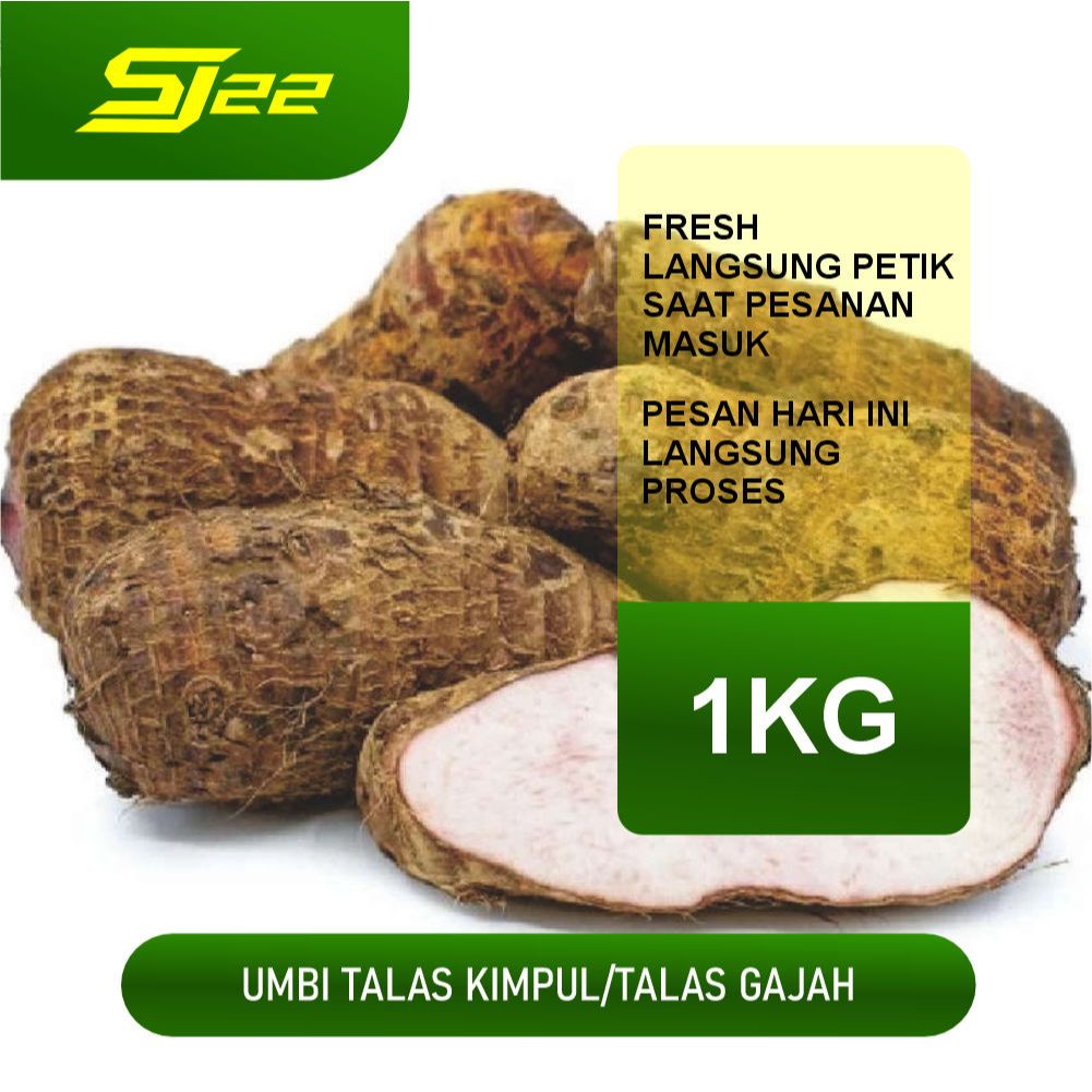 

Talas Gajah Pulen Herbal Super Besar Neto 1kg