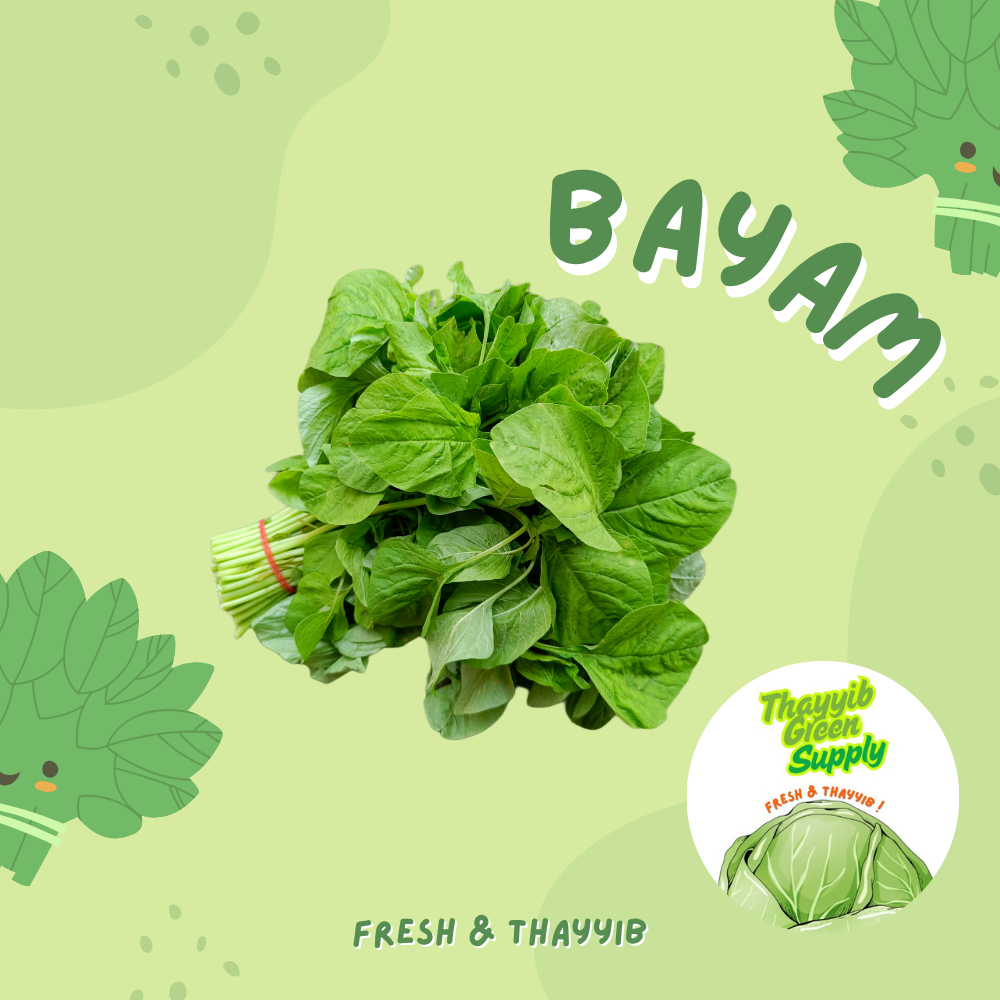 

BAYAM 1 IKAT / SAYUR BAYEM - THAYYIB GREEN SUPPLY