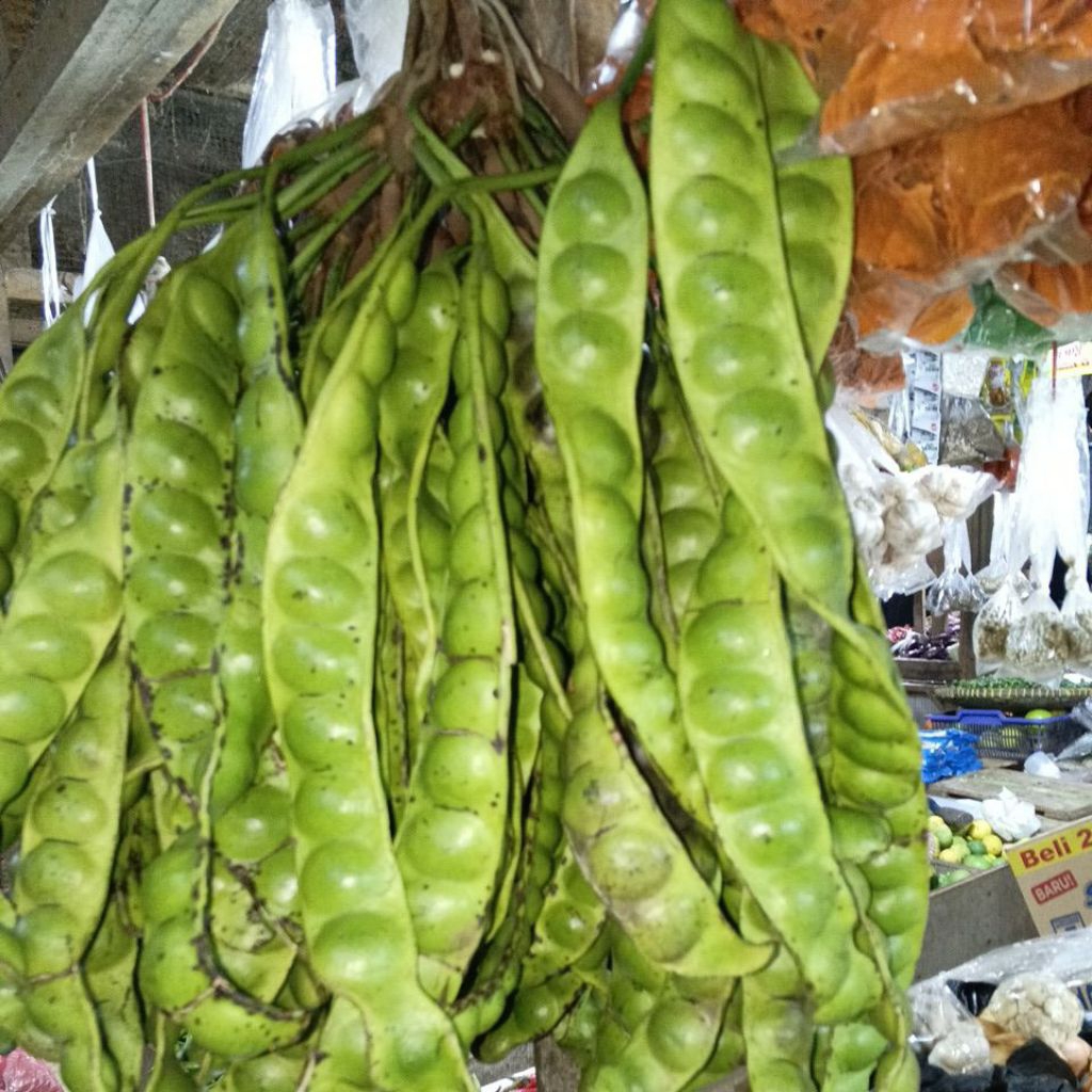 

pete/peteuy tua siap kirim