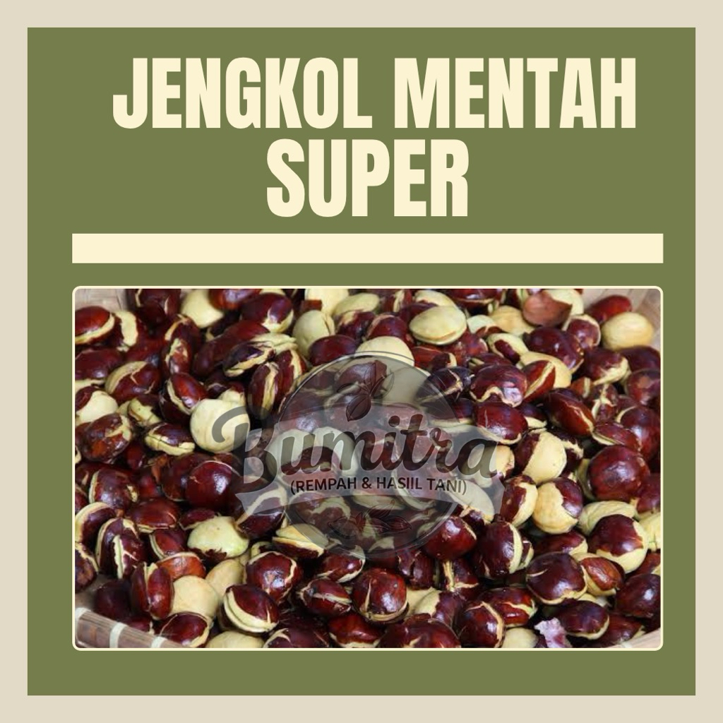 

JENGKOL MENTAH SUPER