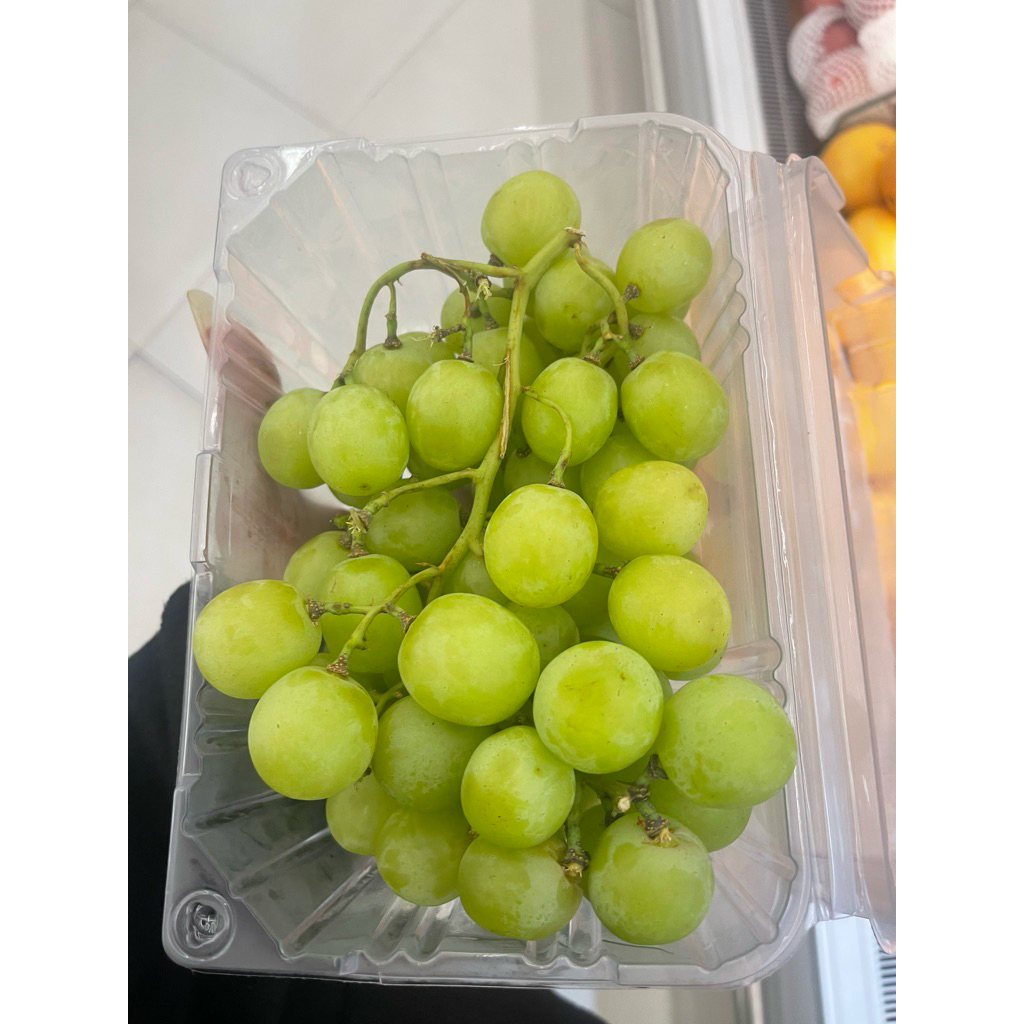 

Anggur Hijau Summer |Anggur Hijau Manis Garing Fresh 500gram