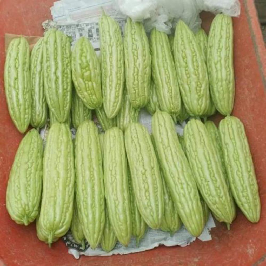 

sayur pare fres baru petik seger 500gram