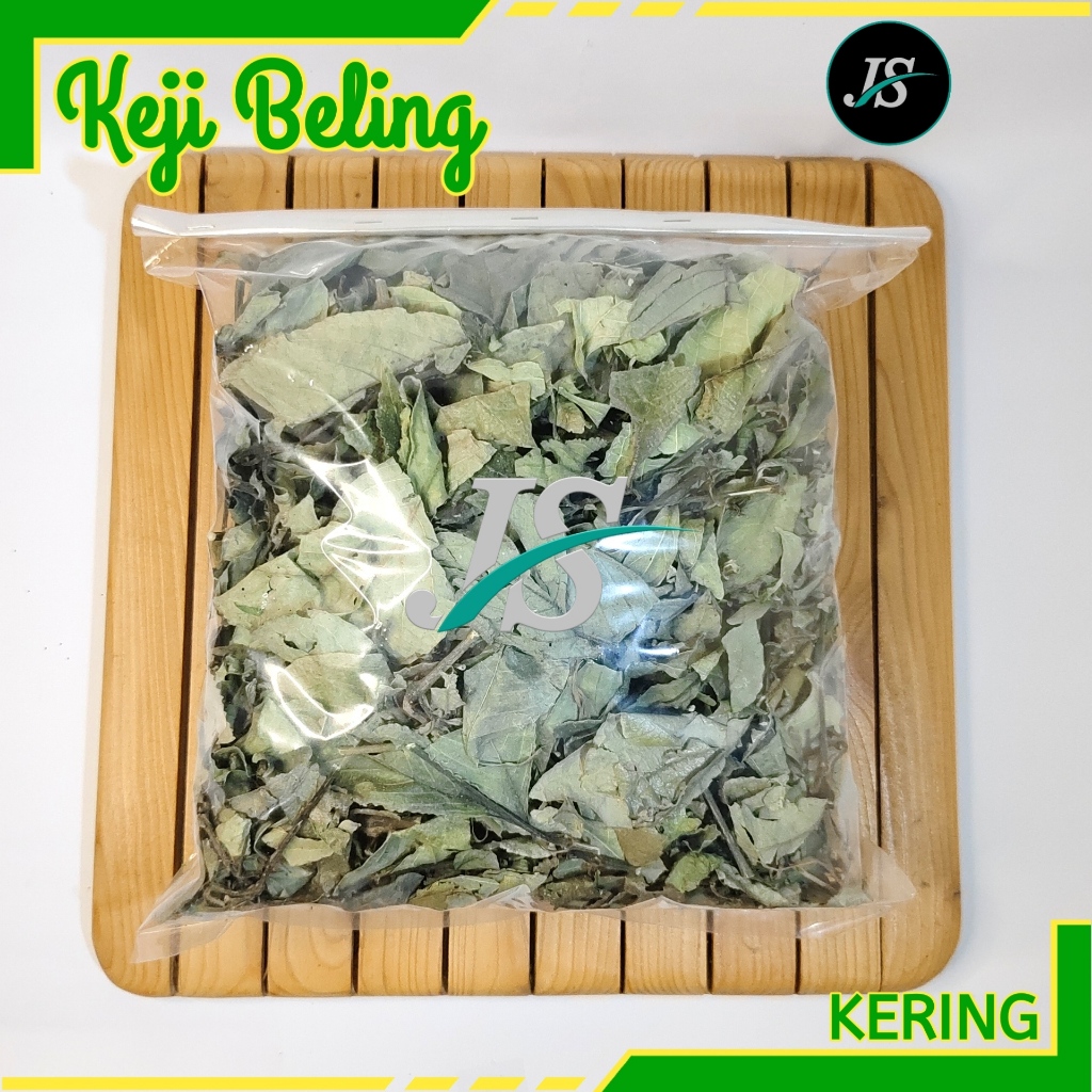 

Daun Keji Beling Kering 500 gram Daun Pecah Beling