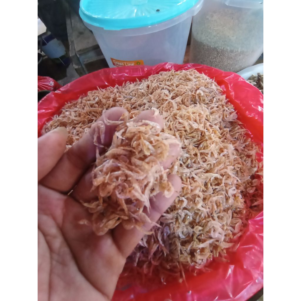 

rebon udang kecil tawar