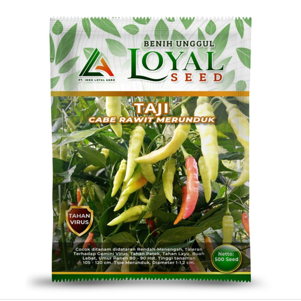 

TAJI CABE RAWIT MERUNDUK 10g