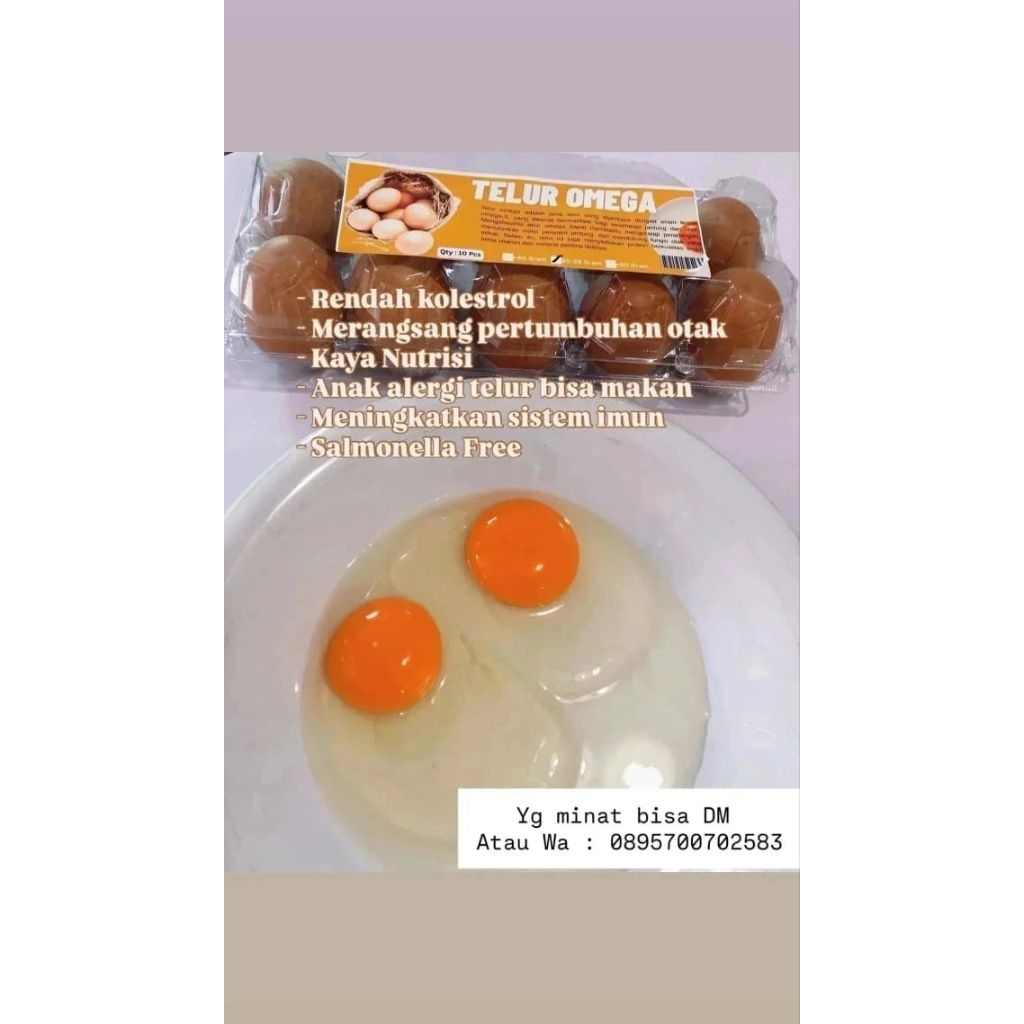 

TELUR OMEGA GRADE A