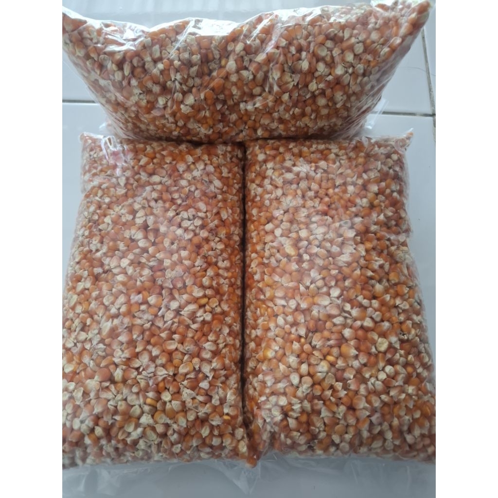 

Jagung unyil / jagung madura