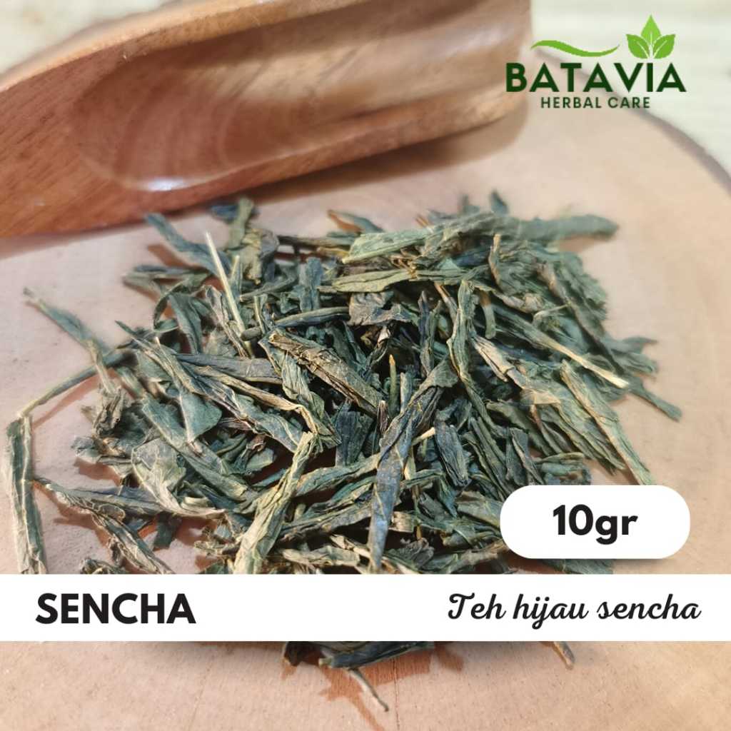 Teh Sencha Organik Japanese Green Tea Premium Teh Hijau Sencha Jepang 10gr