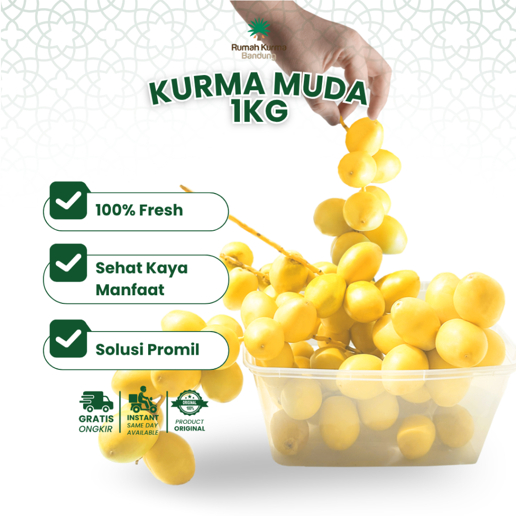 

Kurma Muda Kuning Segar Untuk Program Hamil - Kurma muda promil kurma muda barhi