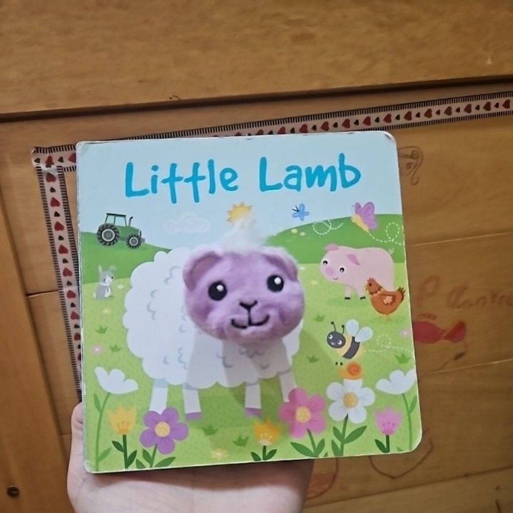 interactive book igloo books