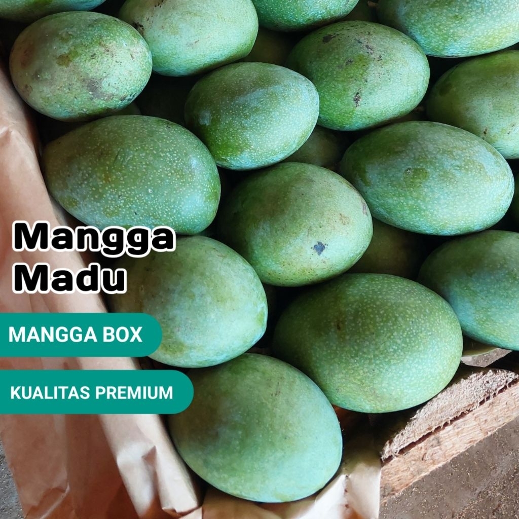

mangga ML manalagi/madu