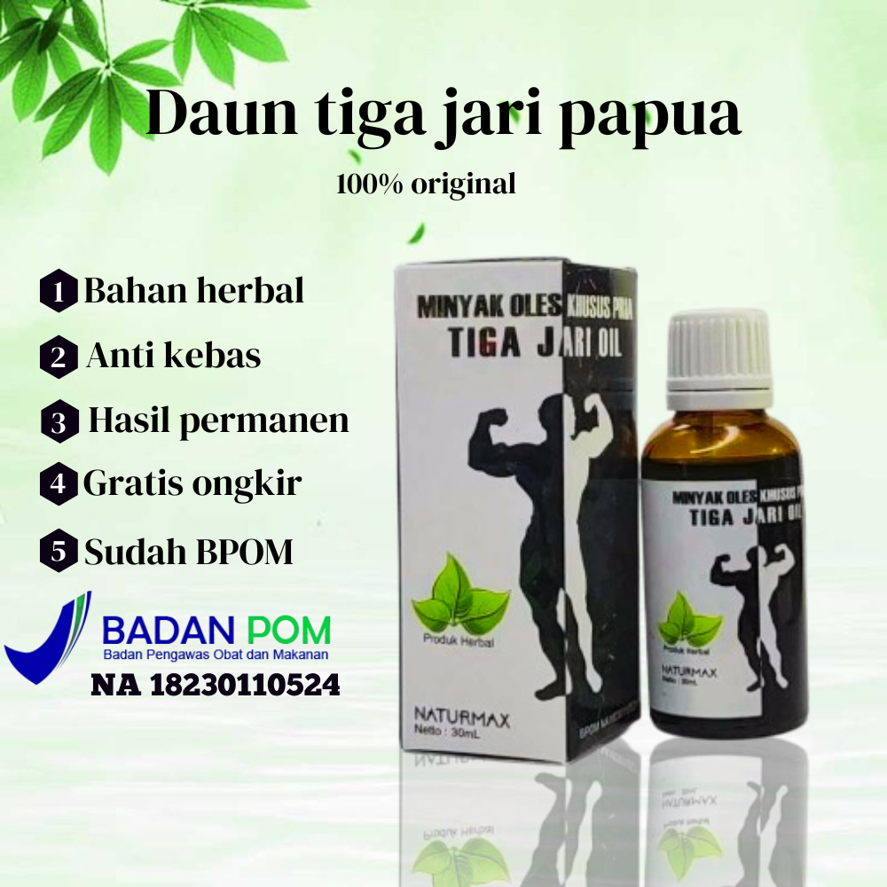 Daun bungkus papua herbal BPOM 30ml pria || Minyak daun tiga jari asli papua 100% original