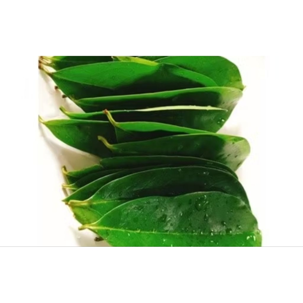 

DAUN SIRSAK SEGAR 100 gram