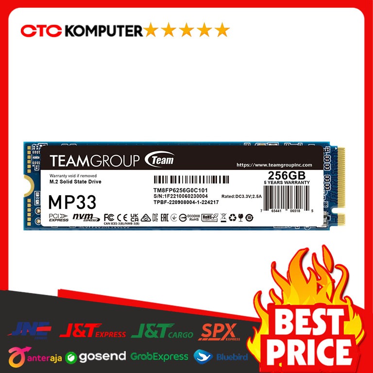 TeamGroup MP33 256GB M.2 PCIe SSD