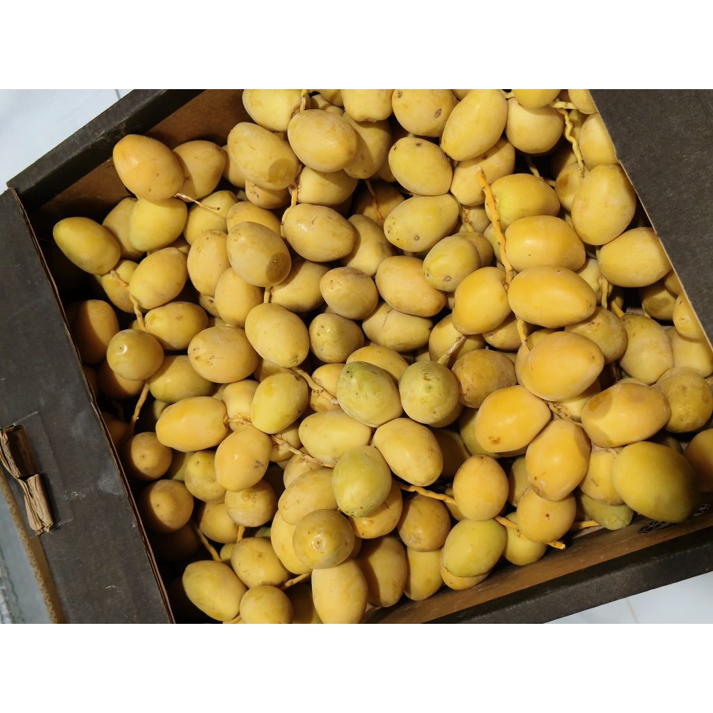 

Kurma Muda Barhee 100gr Premium