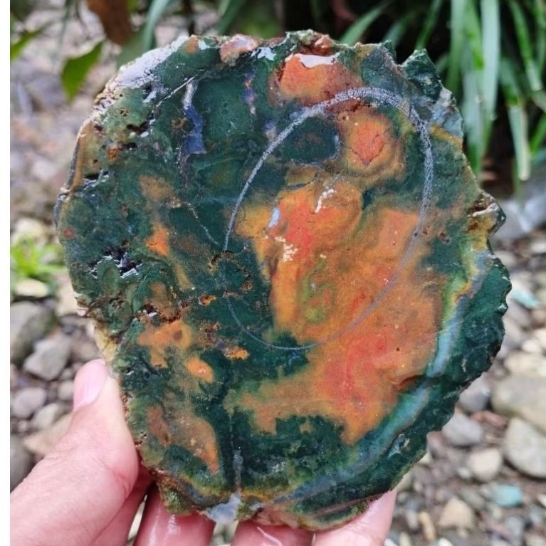 suiseki batu alam bahan batu akik lempengan panca warna bermotif natural super istimewa persis digam