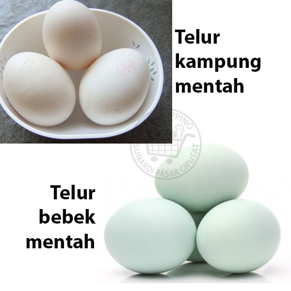 

Telur Bebek & Telur Ayam Kampung mentah per butir