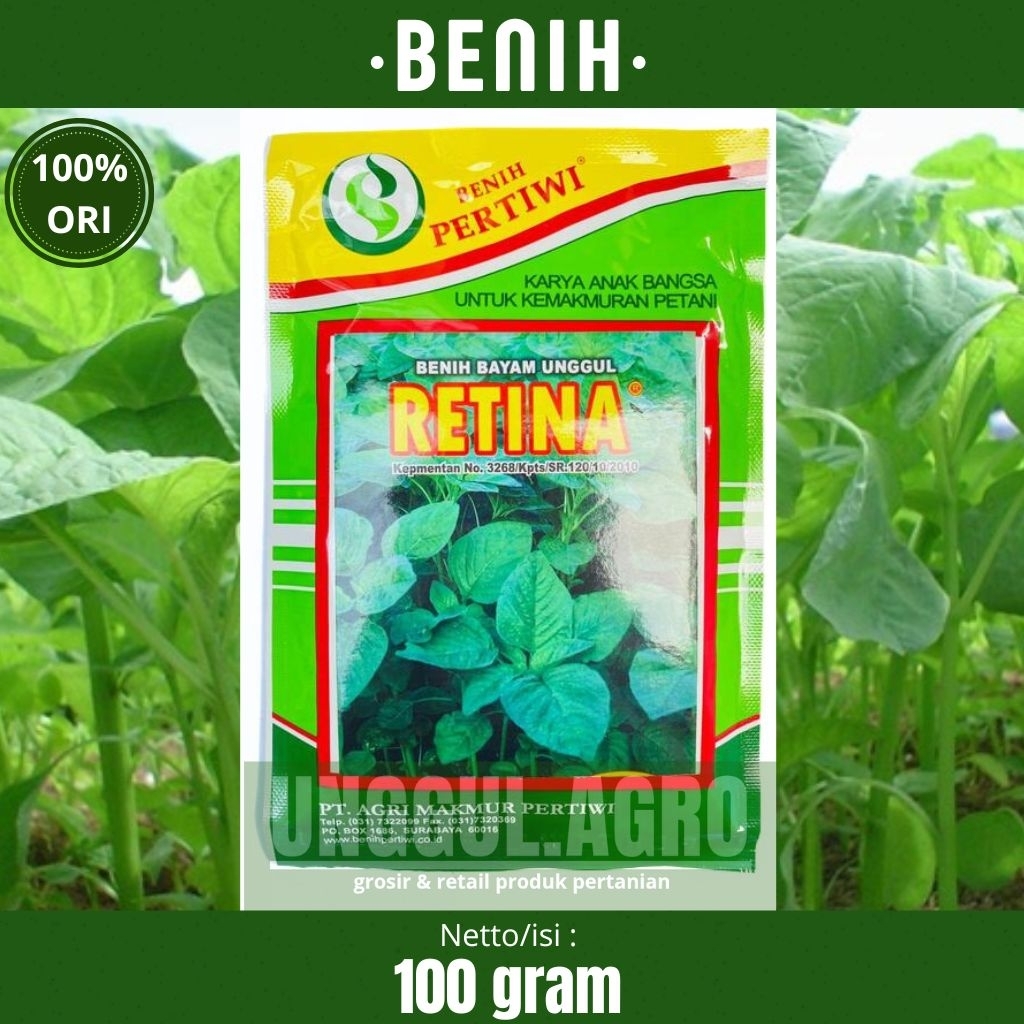 Benih bayam unggul RETINA dari benih pertiwi