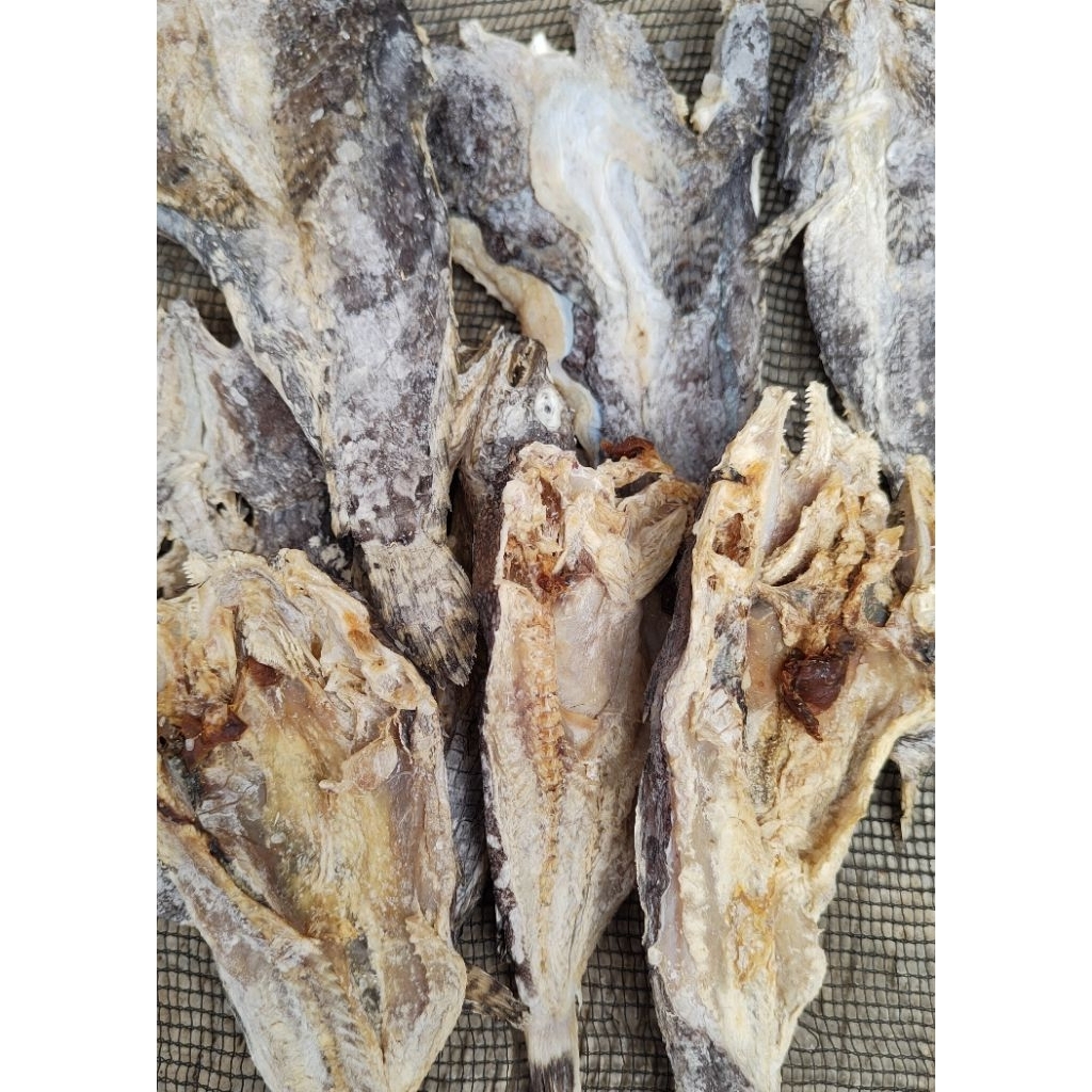 

Ikan Kerapu Asin Kering Asli - Gurih & Lezat