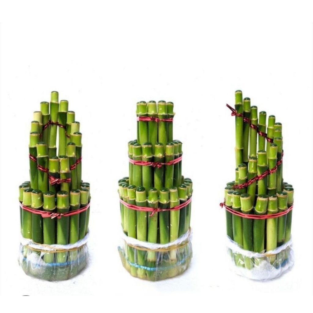 Bambu hoki 3 susun / bambu pagoda / bambu mahkota / bambu spiral
