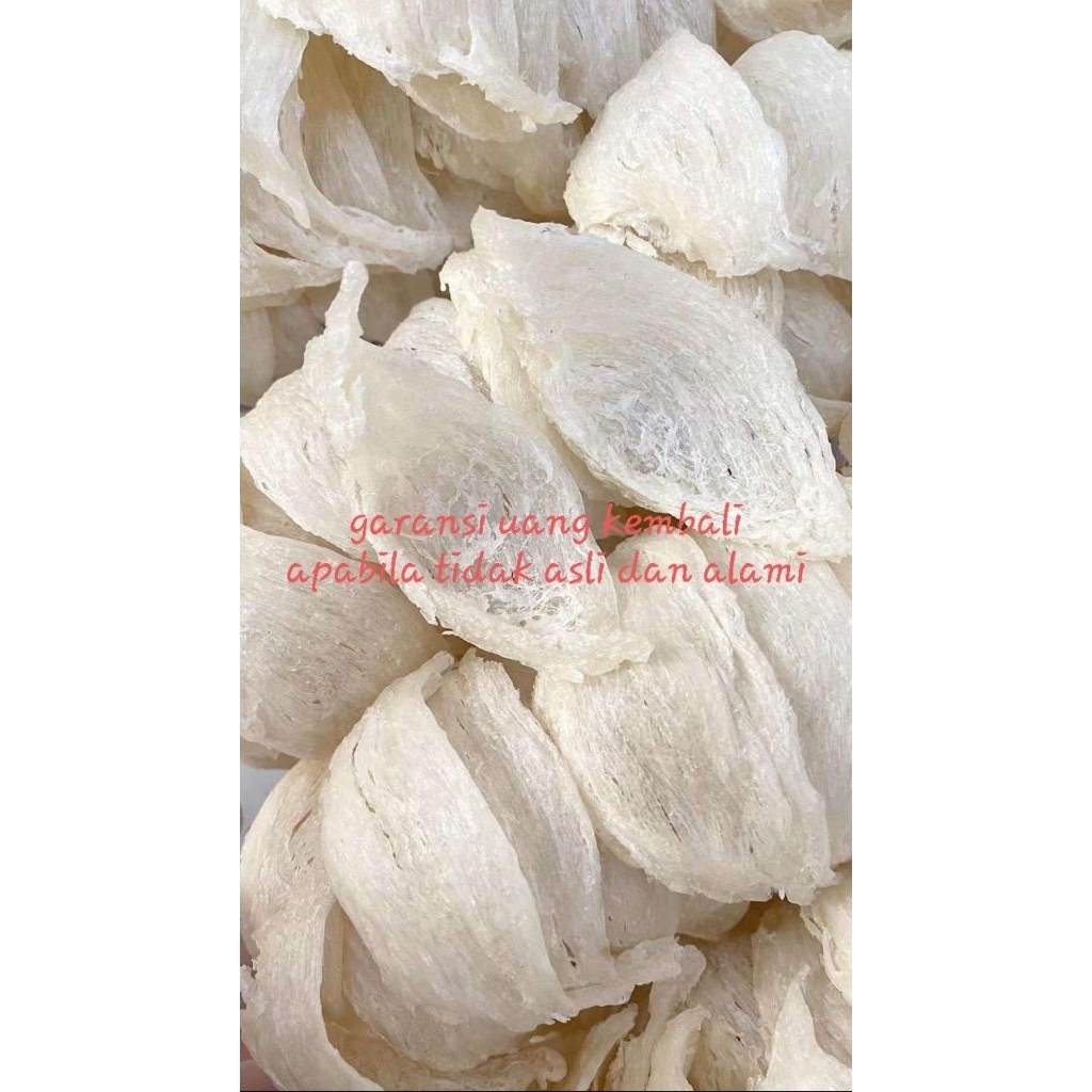 

Sarang Burung Walet Bersih Oval Natural 100 Gram