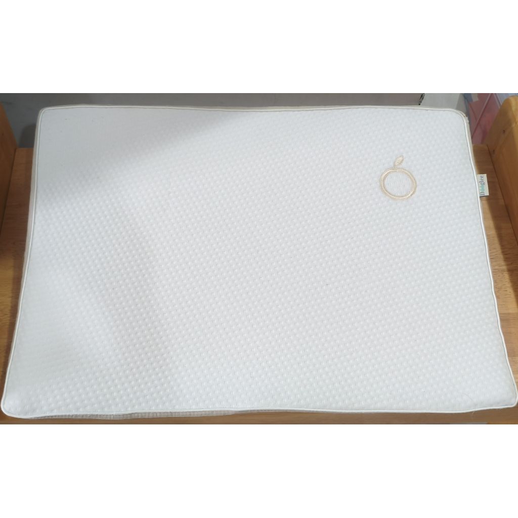 (preloved) Dooglee Wedge Pillow