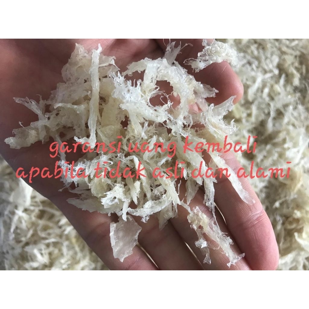 

Sarang Burung Walet Bersih Serat Besar Natural 100 Gram