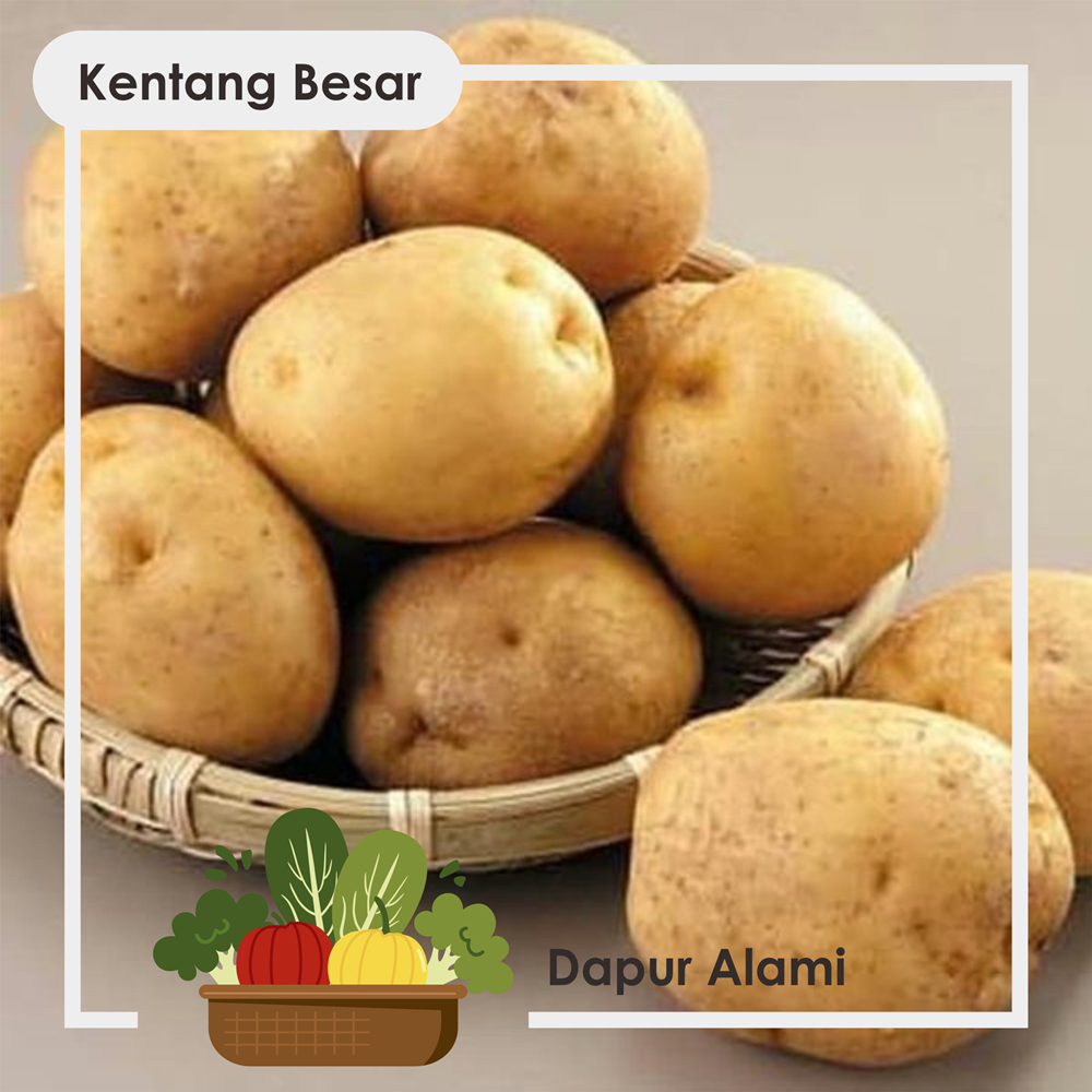 

Kentang Segar Ukuran Sedang ke Besar - Sayur Jogja