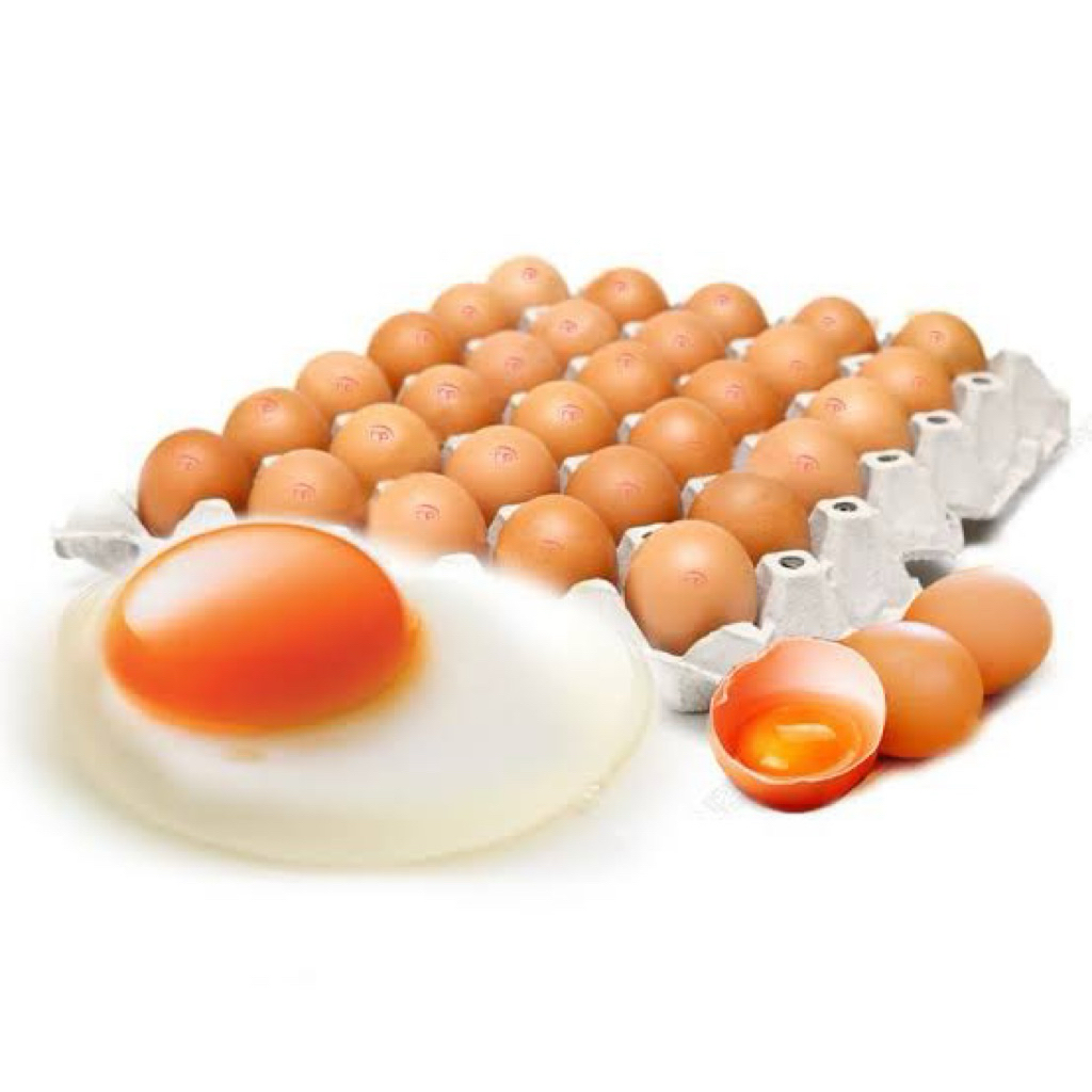 

Telur Omega per pack isi 10 pcs