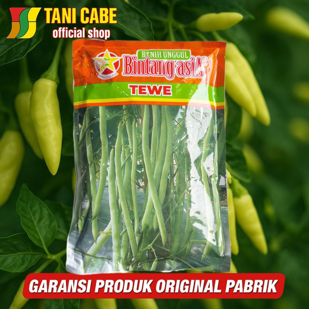 BUNCIS TEWE benih unggul -500 gram