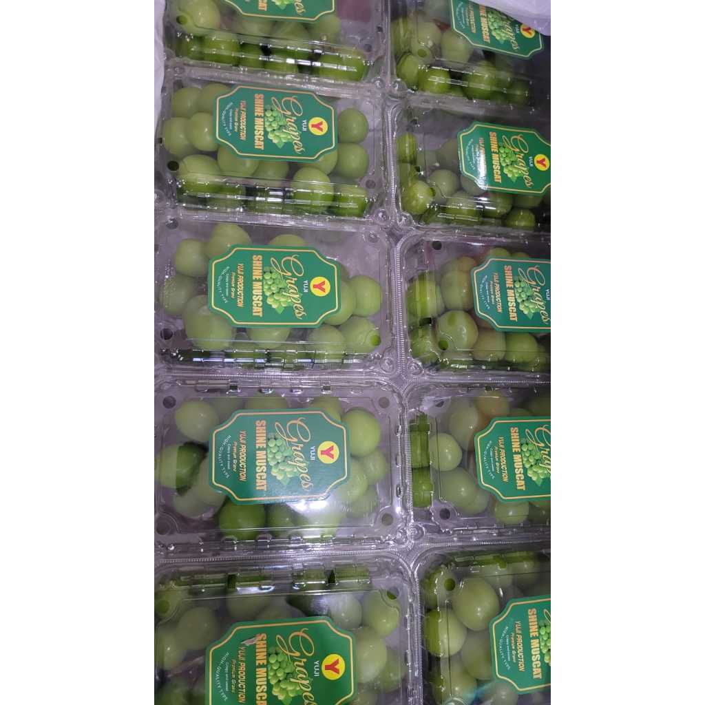 

Anggur Shine Muscat grapes Yuji manis, garing tanpa biji seedless 1pack 500 gram