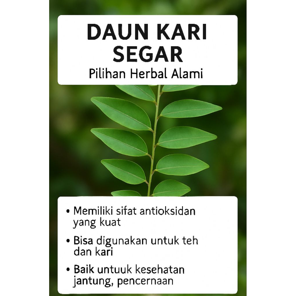 

Daun Kari Hijau Segar Daun Salam Koja Daun Rempah Dapur Herbal Alami