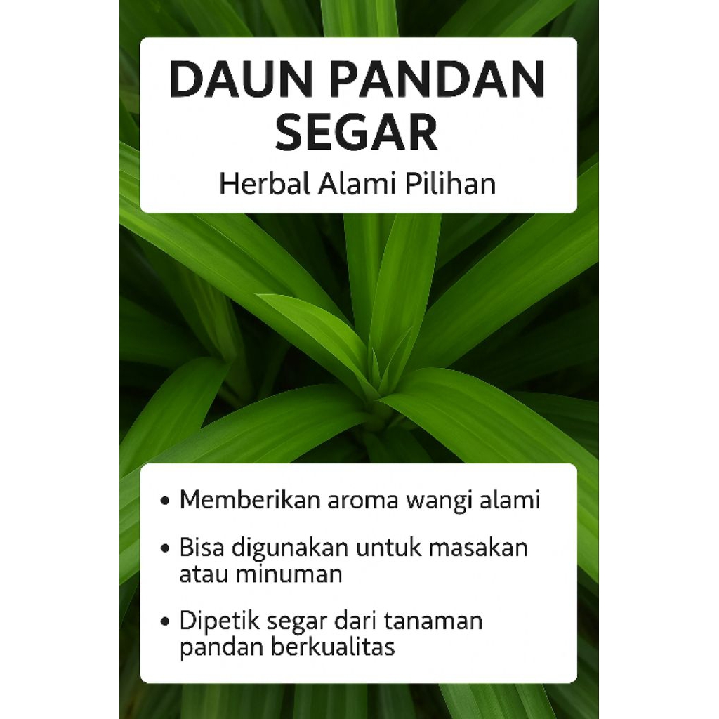 

Daun Pandan Wangi Segar Daun Pandan Alami Daun Aromatik Masakan