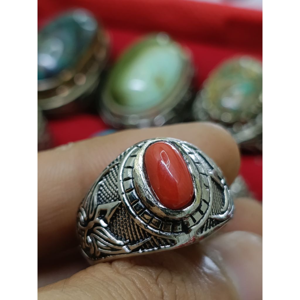 NATURAL RED MARJAN MEDITERANIA (MESIR)