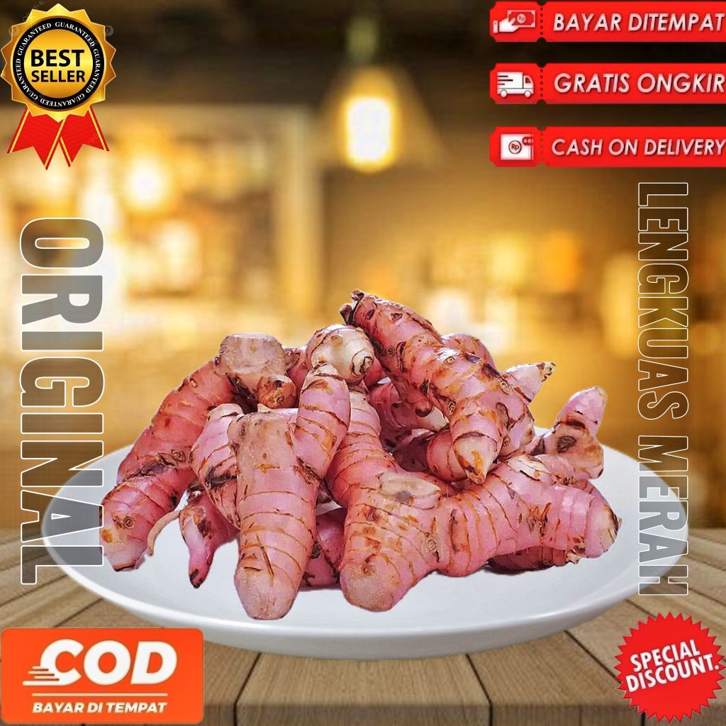 

Lengkuas merah jumbo 1kg Laos merah jumbo 1kg segar fresh dipetik dadakan