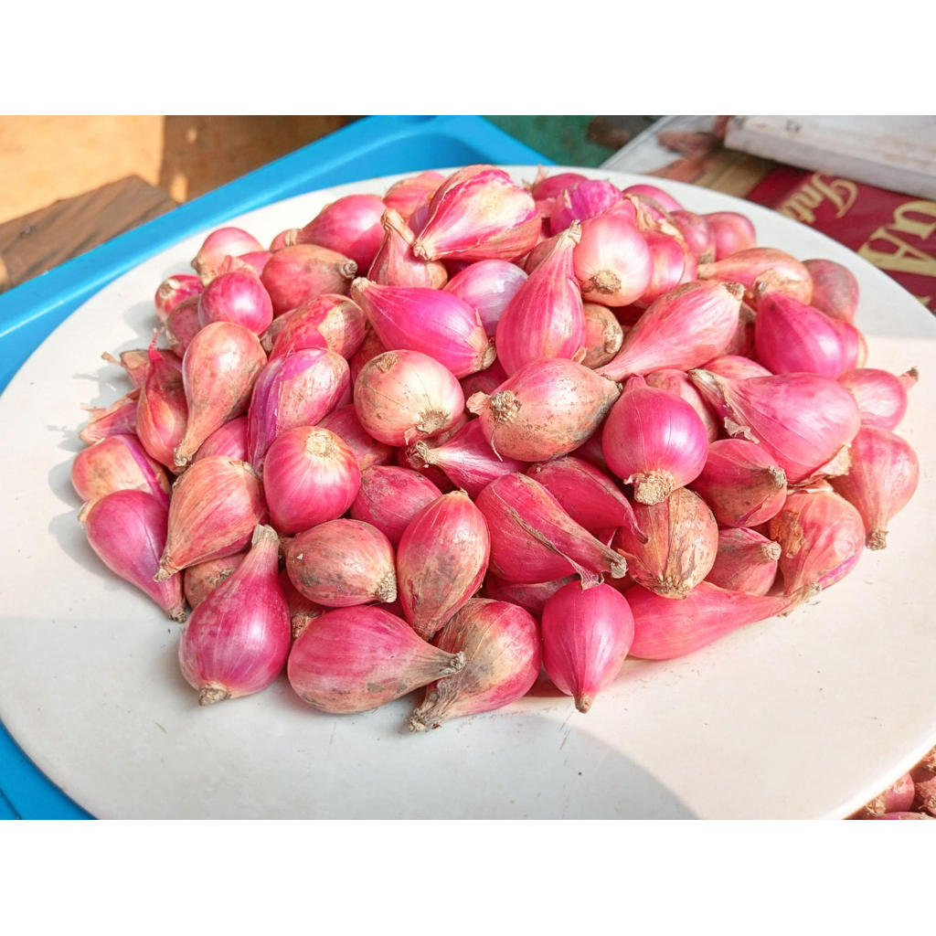 

Bawang Merah Asli Brebes Berat 200 Gram dijamin Fresh