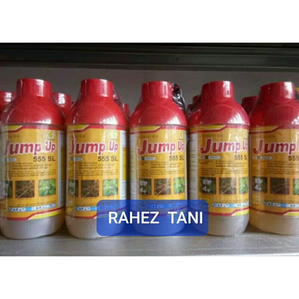 Jump Up 555 SL Uk 1L