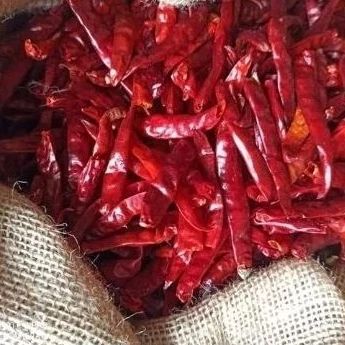 

Cabai Kering / Cabe Kering Teja India Grade A 1kg Tanpa Tangkai Super Pedas