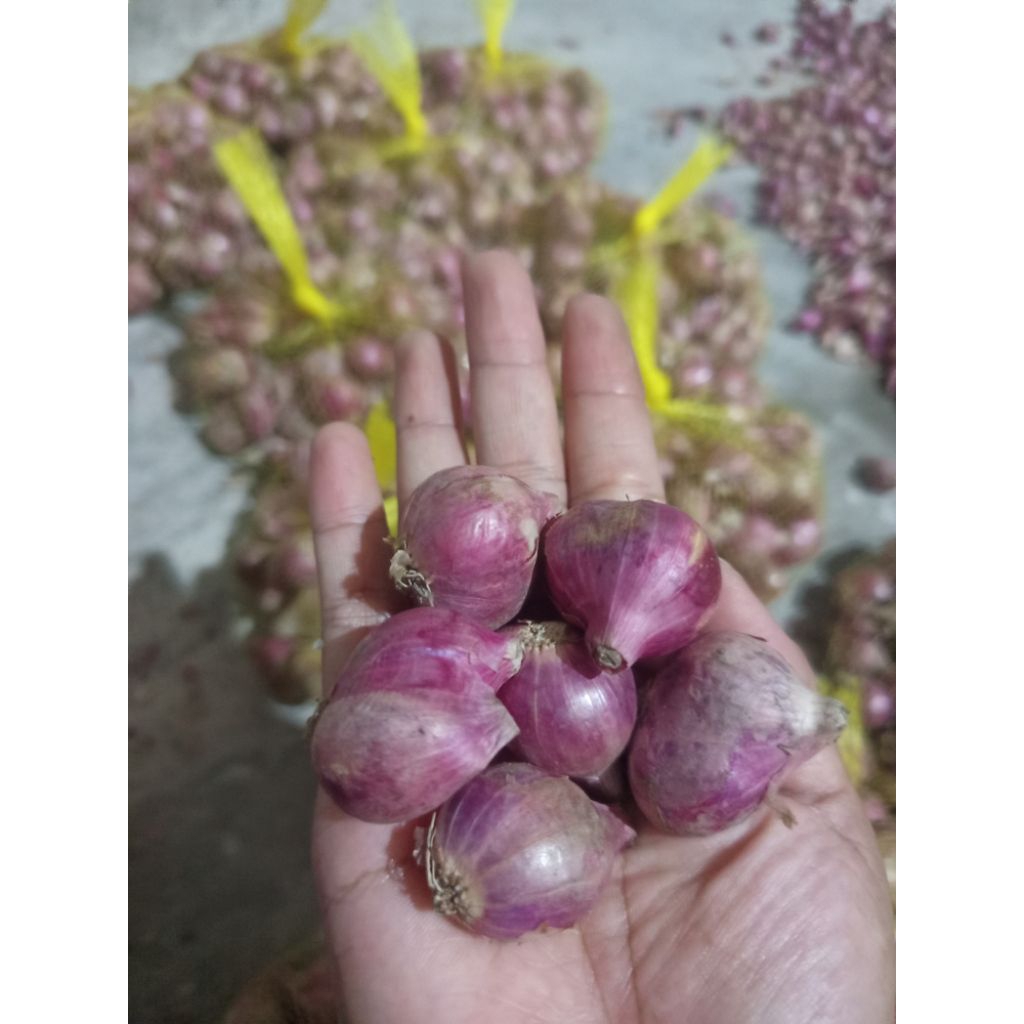 

Bawang merah jawa besar 1 kg